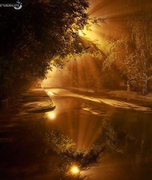 Cuentos para niños que sueñan con cambiar el mundo | Marvel, G.L. | Cooperativa autogestionària