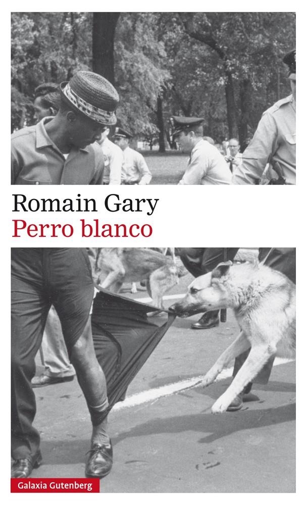 Perro blanco | Gary, Romain