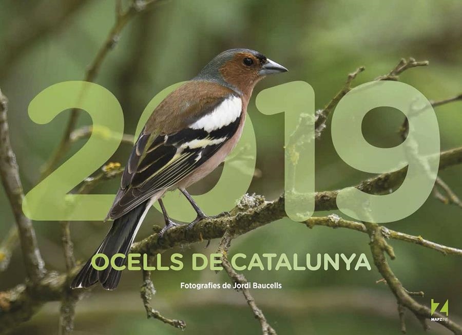 2019 Ocells de Catalunya | Mapzine