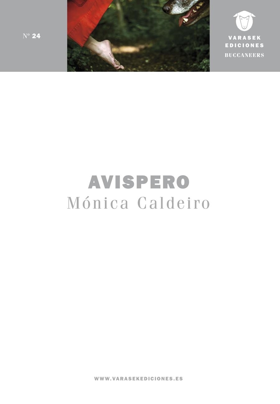 Avispero | Mónica Caldeiro | Cooperativa autogestionària