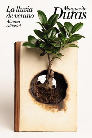 La lluvia de verano | Duras, Marguerite | Cooperativa autogestionària