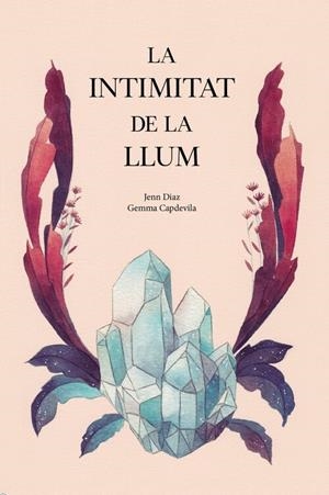 La intimitat de la llum | Jenn Diaz, Gemma Capdevila | Cooperativa autogestionària