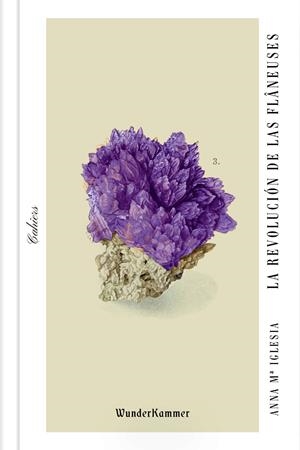 La revolución de las flâneuses | Iglesia, Anna Mª | Cooperativa autogestionària