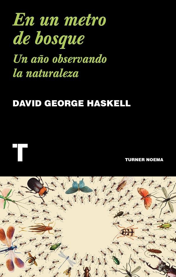 En un metro de bosque | Haskell, David George