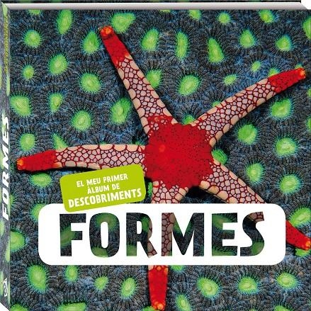 Formes | Bios | Cooperativa autogestionària