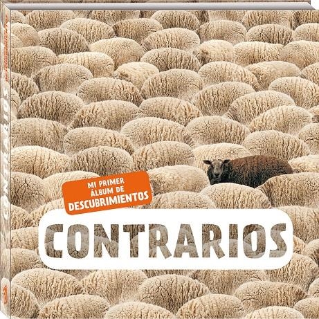 Contrarios | Bios | Cooperativa autogestionària