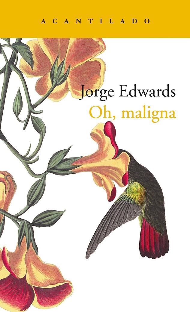 Oh, maligna | Edwards Valdés, Jorge | Cooperativa autogestionària