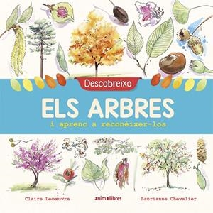 Descobreixo els arbres i aprenc a reconèixer-los | Lecoeuvre, Claire | Cooperativa autogestionària