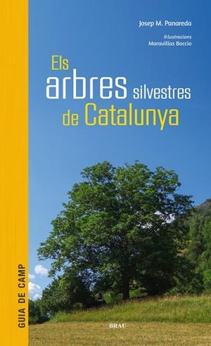 Els arbres  silvestres de Catalunya | Panareda Clopés, Josep M | Cooperativa autogestionària