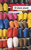 El islam plural | Roque, Maria Àngels | Cooperativa autogestionària