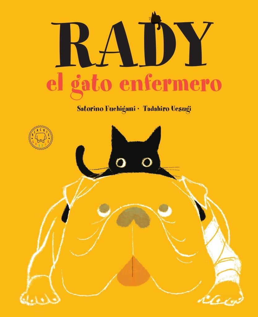 Rady, el gato enfermero | Satorino, Fuchigami