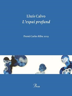 L'espai profund | Calvo, Lluís