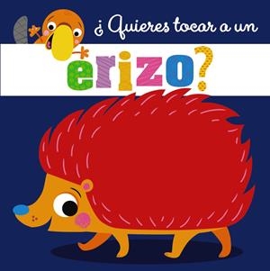 ¿Quieres tocar a un erizo? | Varios Autores | Cooperativa autogestionària