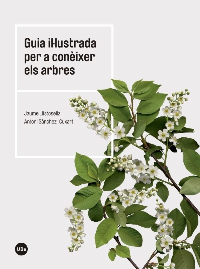 Guia il·lustrada per a conèixer els arbres | Llistosella Vidal, Jaume/Sànchez Cuxart, Antoni | Cooperativa autogestionària