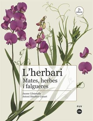 L'herbari: mates, herbes i falgueres | Sànchez Cuxart, Antoni/Llistosella Vidal, Jaume | Cooperativa autogestionària