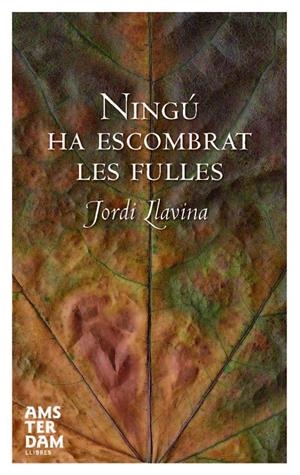 Ningú ha escombrat les fulles | Llavina, Jordi