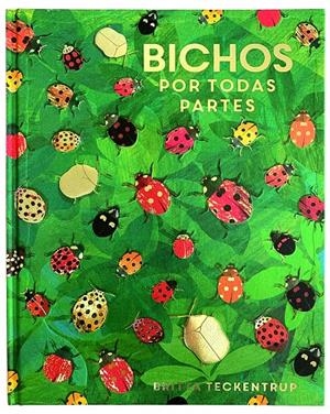Bichos por todas partes | Teckentrup, Britta | Cooperativa autogestionària