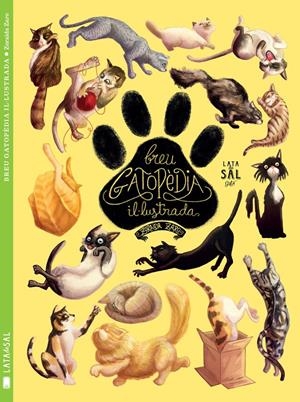 Breu Gatopèdia Il·lustrada | Zaro Soto, Zoraida | Cooperativa autogestionària