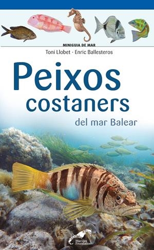 Peixos costaners del mar Balear | Llobet François , Toni/Ballesteros Sagarra , Enric