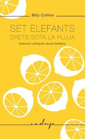 Set elefants drets sota la pluja | Collins, Billy | Cooperativa autogestionària