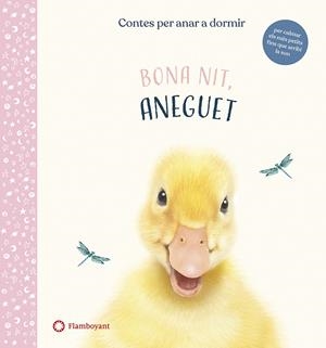 Bona nit, Aneguet | Wood, Amanda | Cooperativa autogestionària