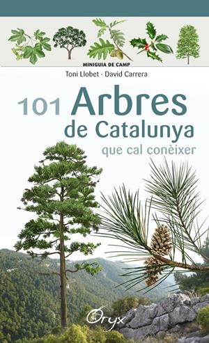 101 arbres de Catalunya que cal conèixer | Llobet François, Toni/Carrera Bonet, David | Cooperativa autogestionària