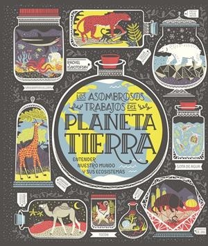 Planeta Tierra | Ignotofsky, Rachel | Cooperativa autogestionària