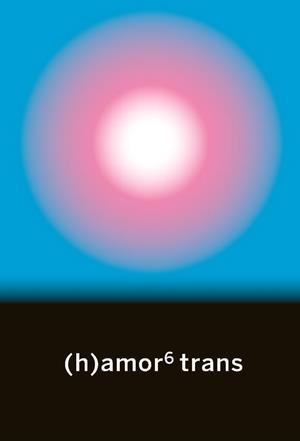 (h)amor 6. Trans | VVAA