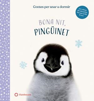 Bona nit, Pingüinet | Wood, Amanda | Cooperativa autogestionària