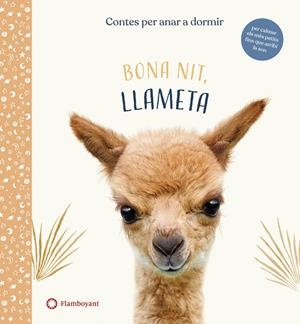 Bona nit, Llameta | Wood, Amanda | Cooperativa autogestionària