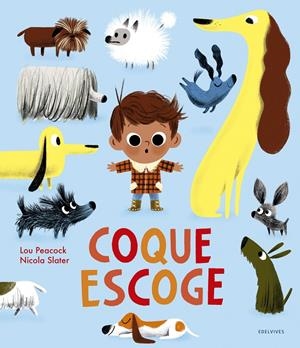 Coque escoge | Peacock, Lou | Cooperativa autogestionària