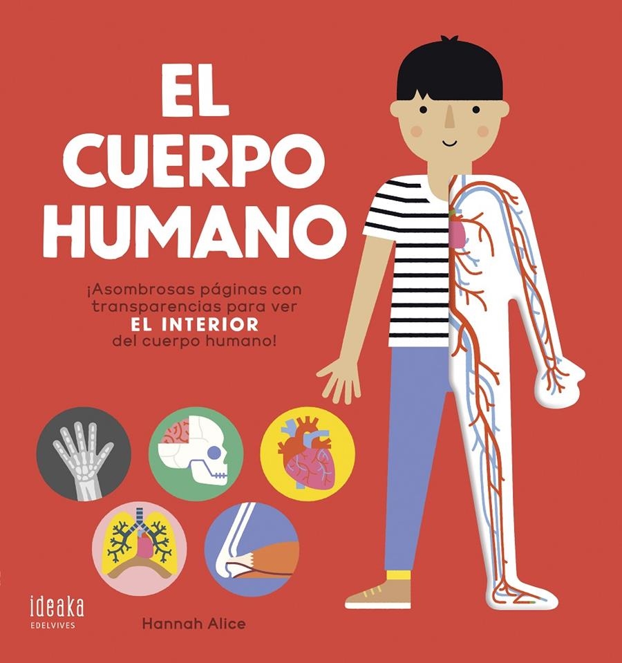 El cuerpo humano | Nosy Crow