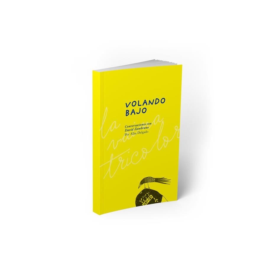 Volando Bajo | Delgado, Alba