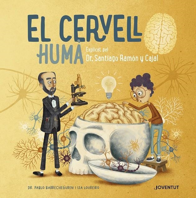 El cervell humà | Barrecheguren, Pablo | Cooperativa autogestionària