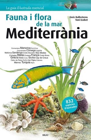Fauna i flora de la mar Mediterrània | Ballesteros Sagarra, Enric | Cooperativa autogestionària