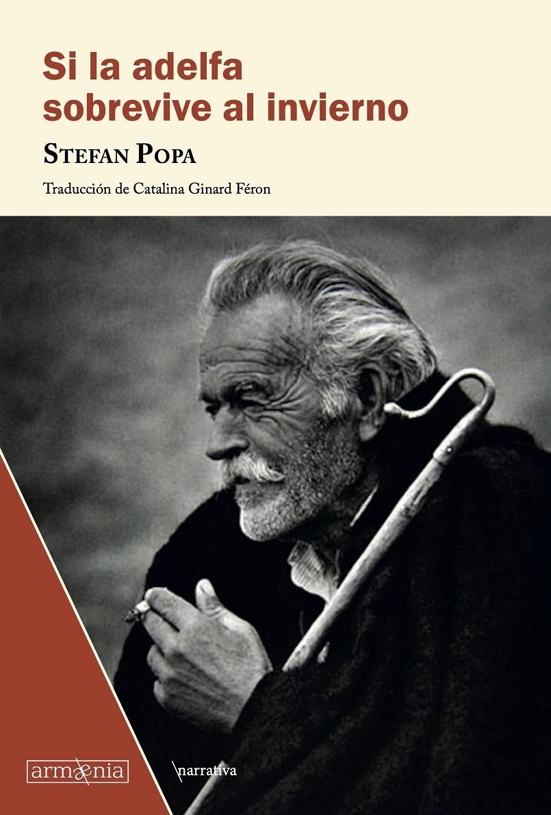 Si la adelfa sobrevive al invierno | Popa, Stefan