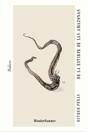 De la estirpe de las amazonas | Peñas Domingo, Esther | Cooperativa autogestionària