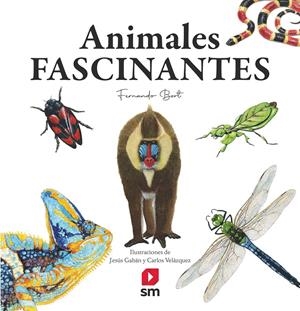 Animales fascinantes | Bort Misol, Fernando | Cooperativa autogestionària