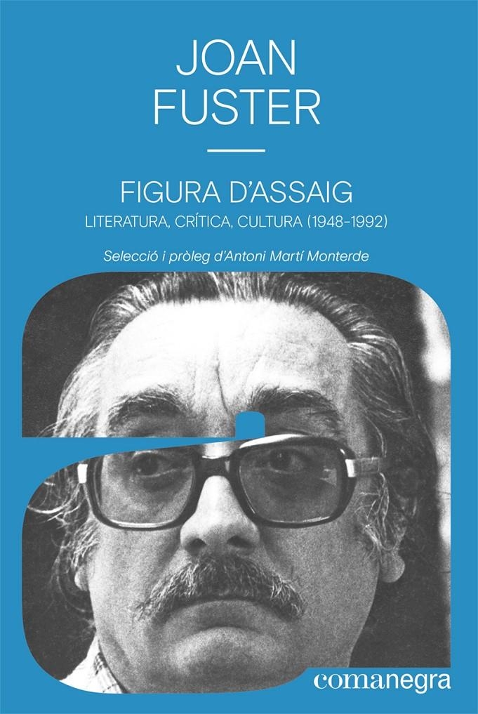 Figura d’assaig | Fuster Ortells, Joan | Cooperativa autogestionària