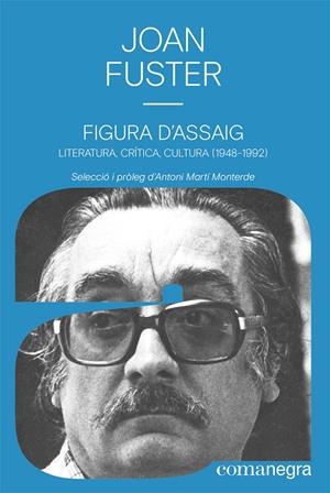 Figura d’assaig | Fuster Ortells, Joan | Cooperativa autogestionària