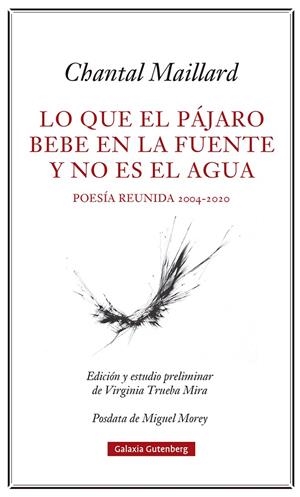 Lo que el pájaro bebe en la fuente y no es el agua | Maillard, Chantal | Cooperativa autogestionària
