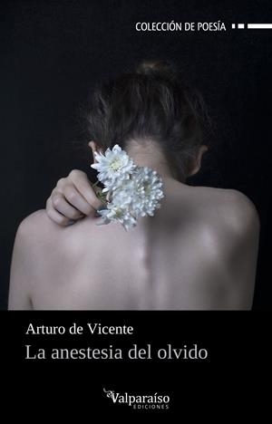 La anestesia del olvido | De Vicente, Arturo