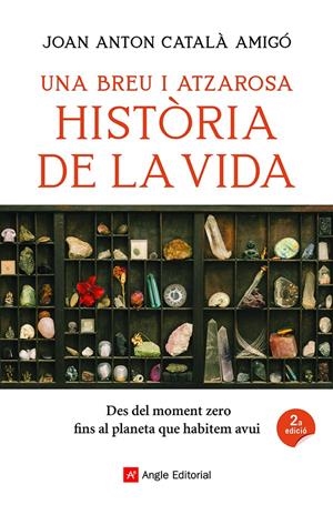 Una breu i atzarosa història de la vida | Català Amigó, Joan Anton | Cooperativa autogestionària