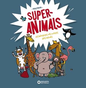 Superanimals | Halfbob