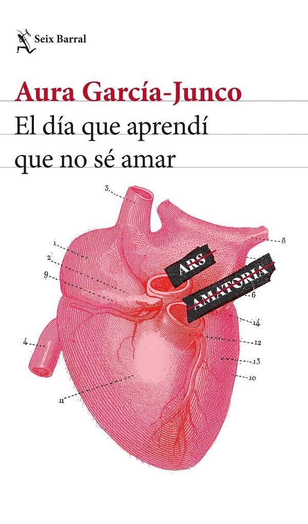 El día que aprendí que no sé amar | García-Junco, Aura