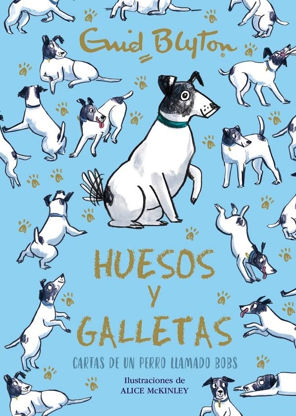 Enid Blyton. Huesos y galletas. Cartas de un perro llamado Bobs | Blyton, Enid | Cooperativa autogestionària