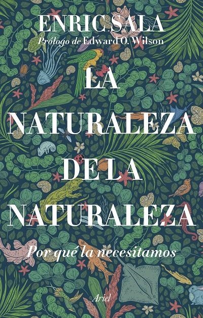 La naturaleza de la naturaleza | Sala, Enric