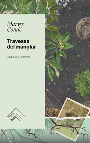 Travessa del manglar | Condé, Maryse | Cooperativa autogestionària
