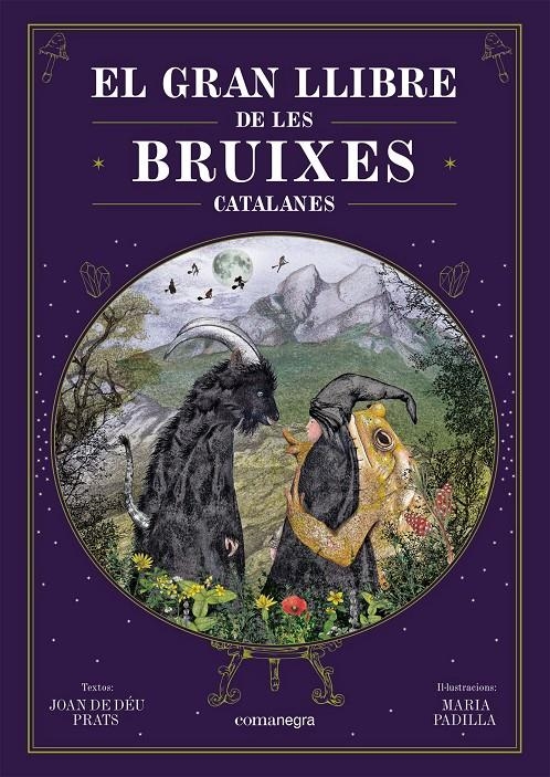El gran llibre de les bruixes catalanes | Prats, Joan de Déu/Padilla Climent, Maria | Cooperativa autogestionària