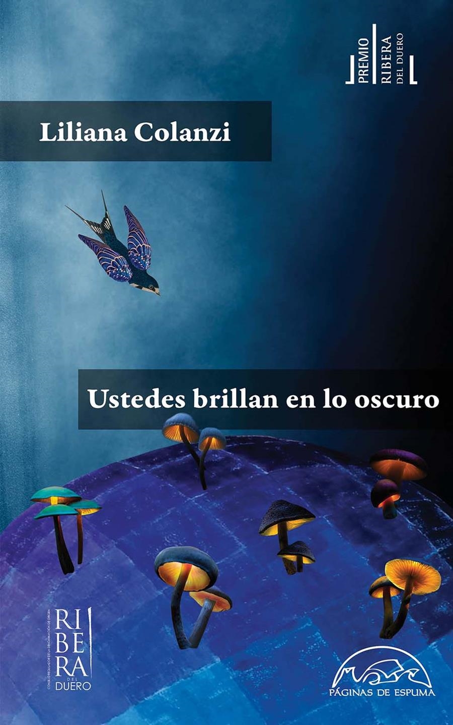 Ustedes brillan en lo oscuro | Colanzi, Liliana